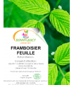 FEUILLE DE FRAMBOISIER 80g
